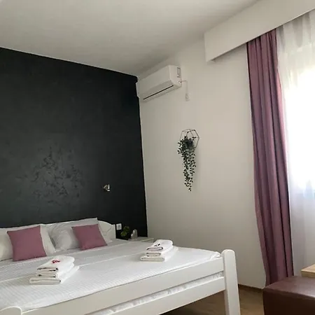 Vila Dusica Guest house