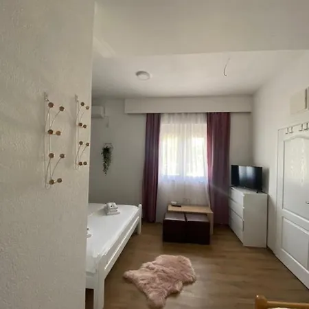 Dusica בית הארחה טרביניה