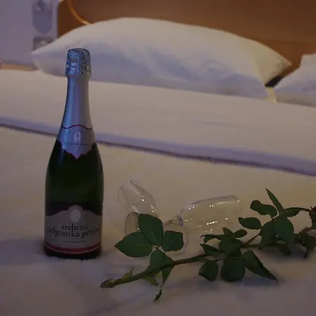 בית הארחה Dusica 3*