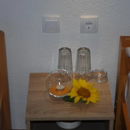 Vila Dusica Guest house