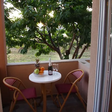 Vila Dusica Guest house *