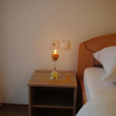 בית הארחה Dusica 3*