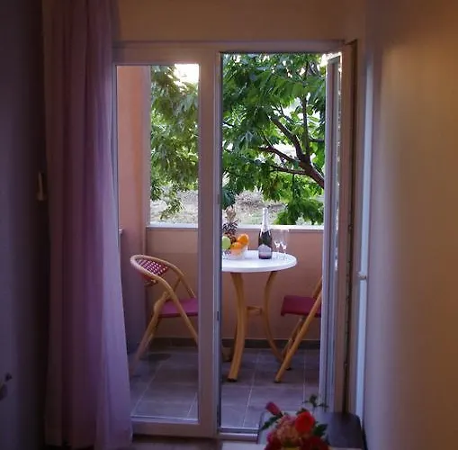 Dusica تريبينيي